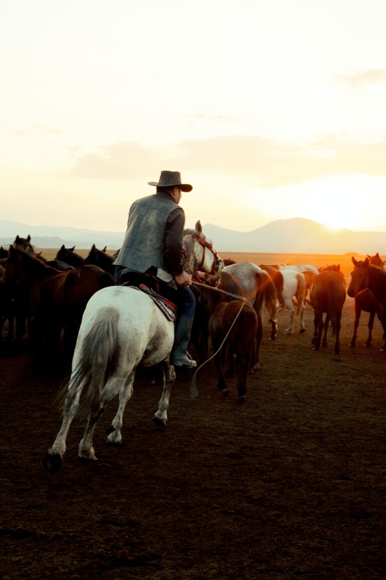 The Art of Mixing: Tips from the Experts