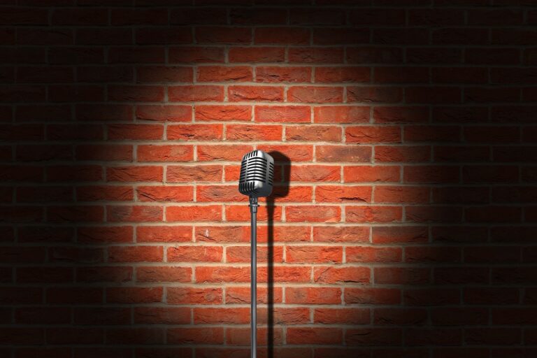 Stand-Up Comedians: A Guide to the Best in Humor
