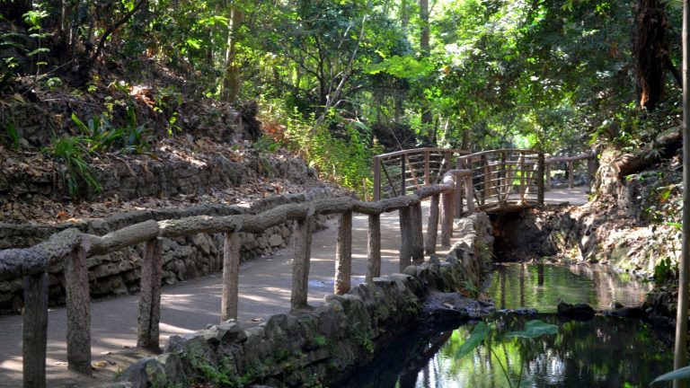 A shaded dirt path with rustic wooden railings and a footbridge over a stream in Fern Dell, Griffith Park