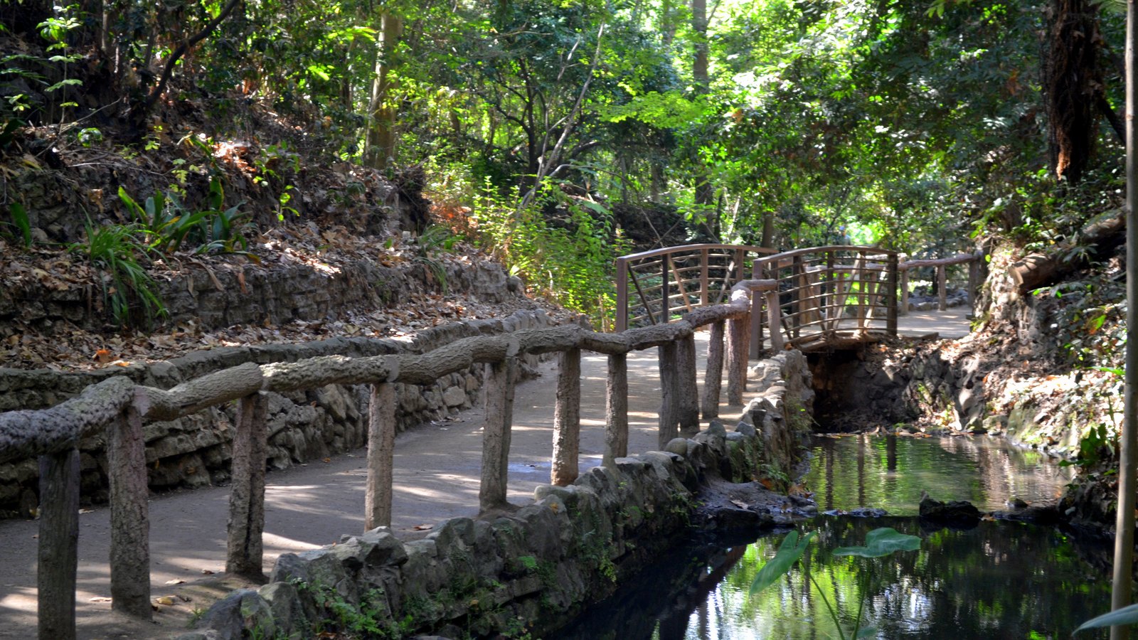 A shaded dirt path with rustic wooden railings and a footbridge over a stream in Fern Dell, Griffith Park