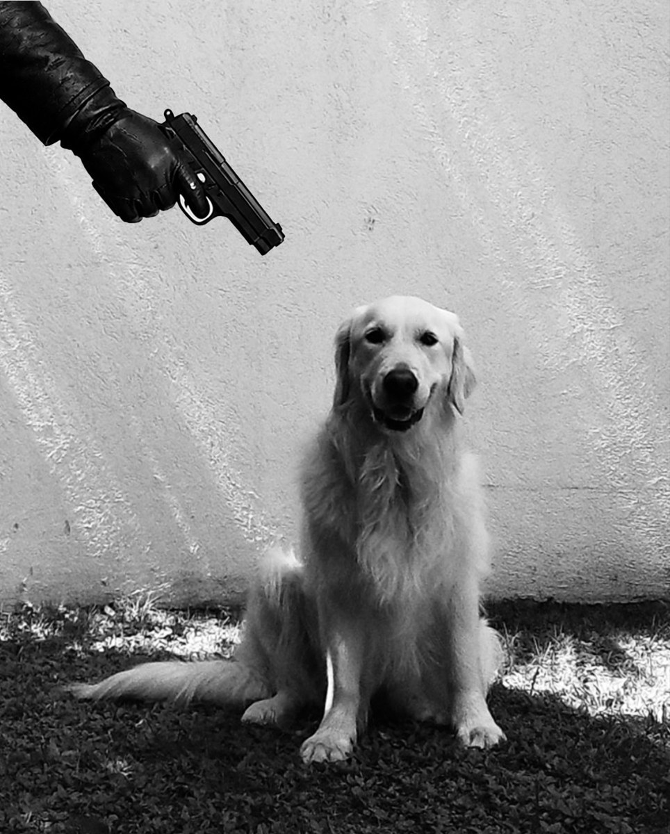 Lana Roche Vulvic single artwork of a dog and a hand holding a gun
